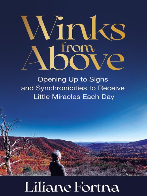Title details for Winks from Above by Liliane Fortna - Available